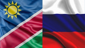 О встрече Посла России c Заместителем Премьер-министра, Министром международных отношений и сотрудничества Намибии Н.Нанди-Ндайтвой, 16 апреля 2021 г.